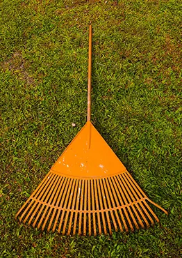 garden rake to pick up pine needles