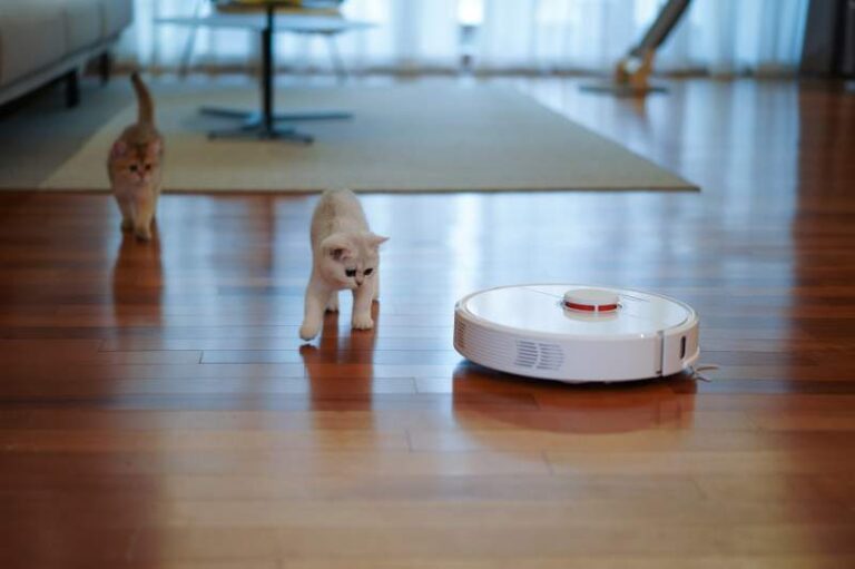 pets and roomba
