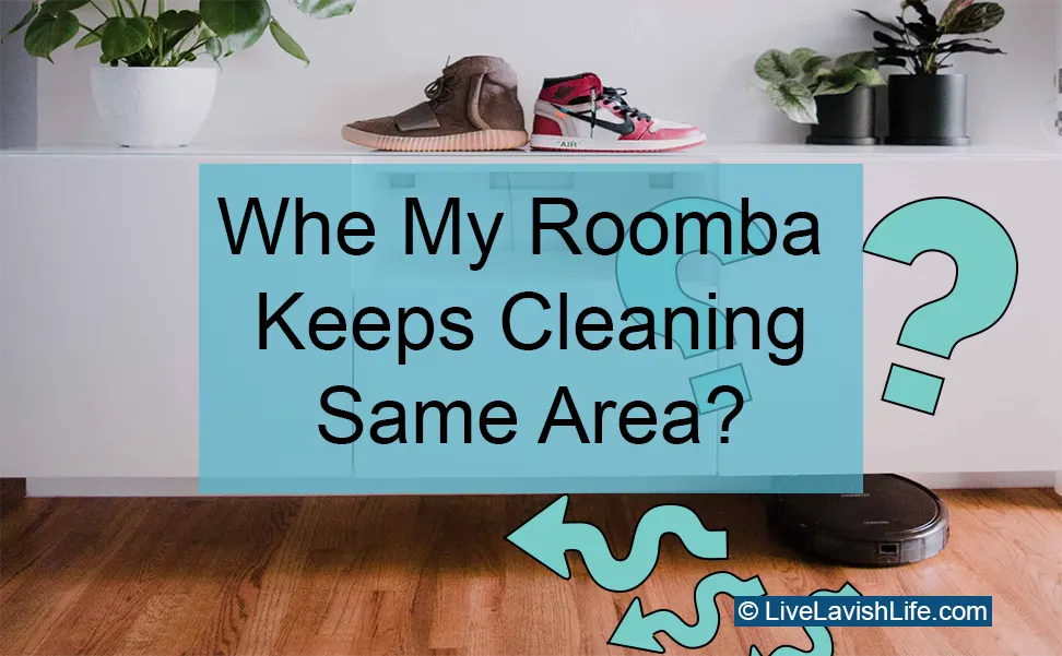 roomba cleaning same area featured image project