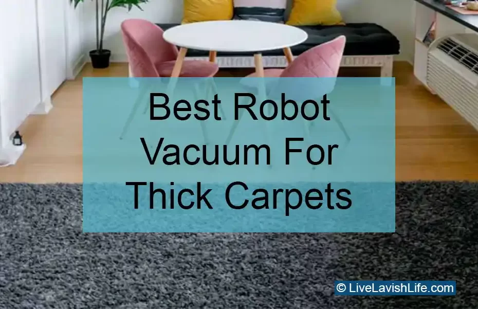 best robot vacuum for thick carpets