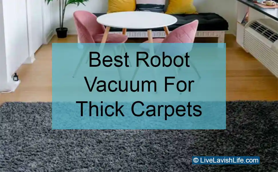 best robot vacuum for thick carpets featured image project