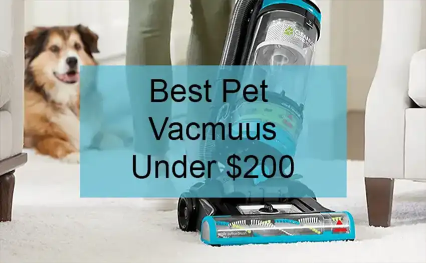 best pet vacuum under $200 featured image project