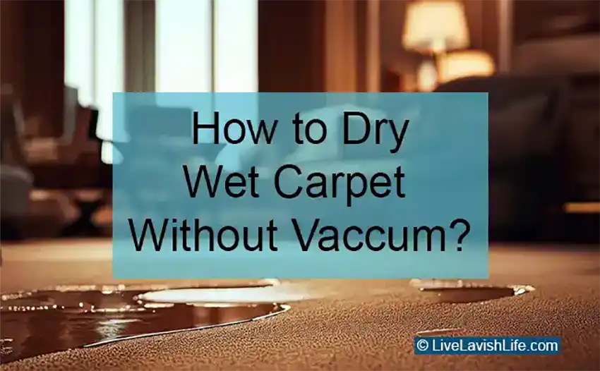 how to dry wet carpet without vacuum featured image project