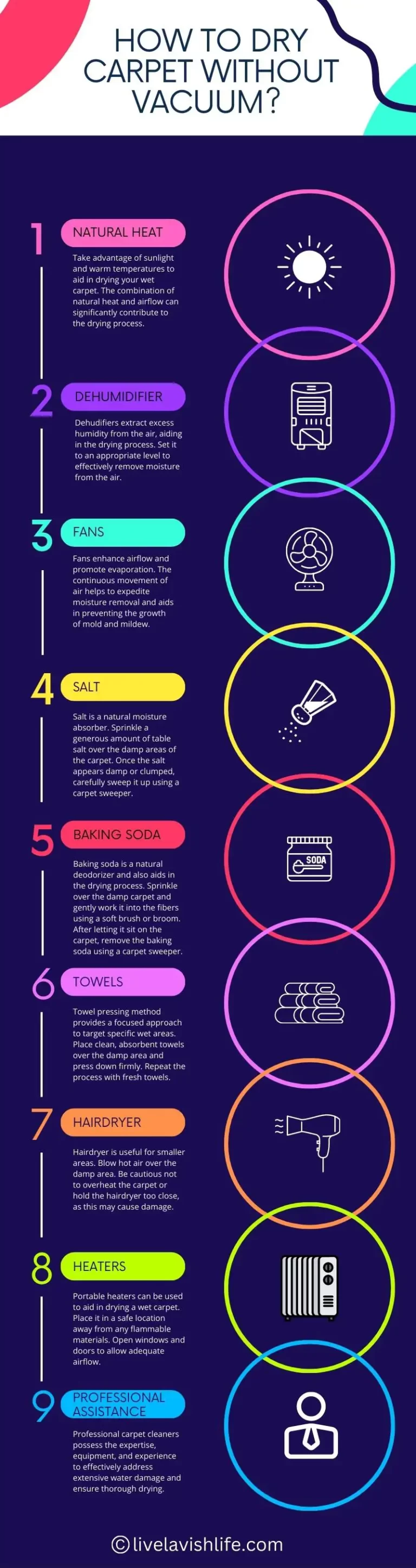 infographic how to dry wet carpet without vacuum