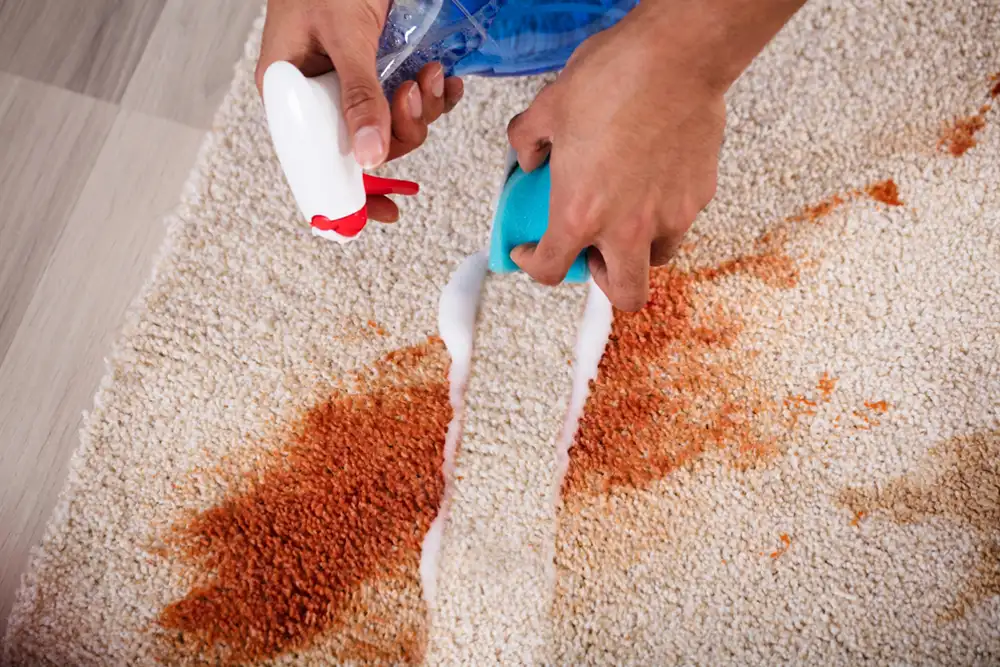 how to remove oil paint from carpet