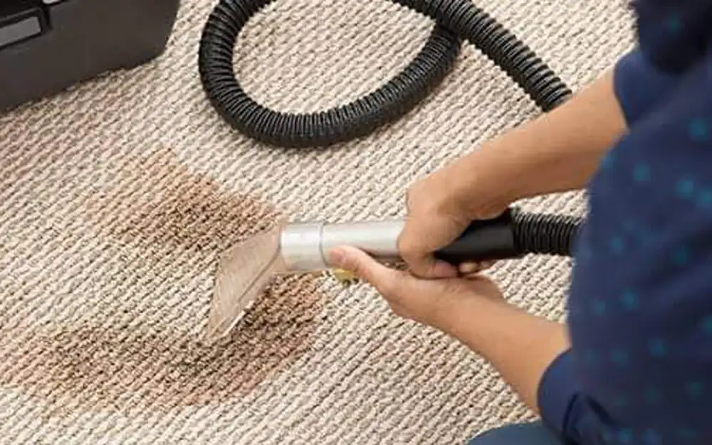 removing stain from stair carpet with bissell spot clean pro
